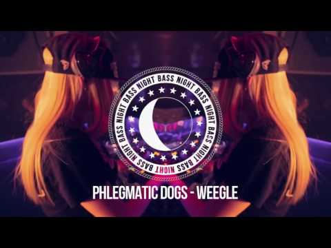 Phlegmatic Dogs - Weegle