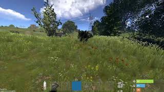 【マイクラRsut】PvE鯖リセットされてて草
