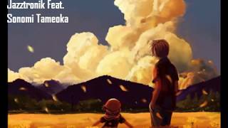 作業用BGM　jazztronikが好きな人　全員集合