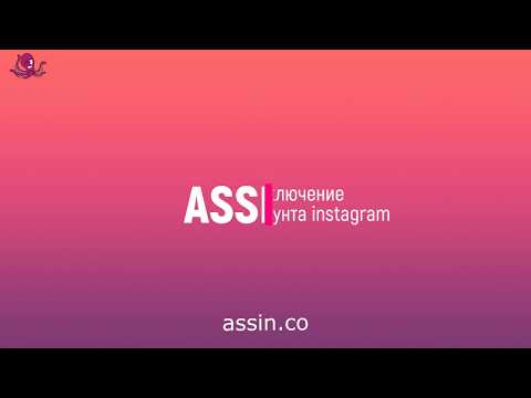 Видеообзор Assin.co