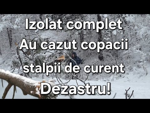 Furtuna de zapada/Au cazut copacii si stalpii de curent/ mi-a distrus gardul /Sunt izolat complet 