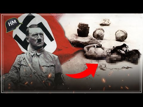 ¿Por qué JAPÓN se unió al EJE si los N4ZlS expresaban ABIERTAMENTE su ODIO racial?