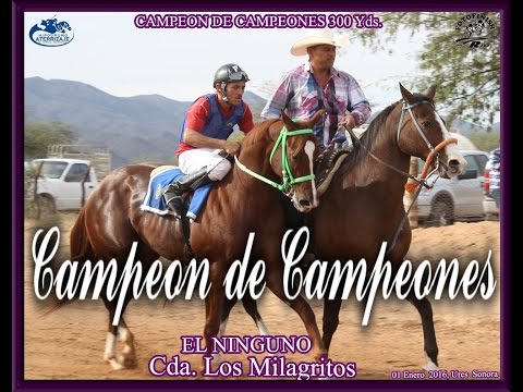 Carreras de Caballos en Ures,Son  01 Enero 2016