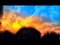 B. Jackson's Moving Pictures 2016 | Meat Beat Manifesto - Token Words (2010)