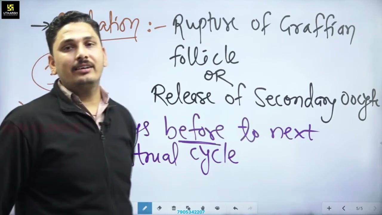Part-2.1.1 Mentrual cycle part - 2 / Mentrual Abnormalities/Gynee