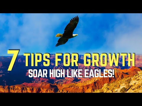 BEST MOTIVATIONAL VIDEO| Personal Growth| Unleash Your Inner Eagle| Motivation Hacks