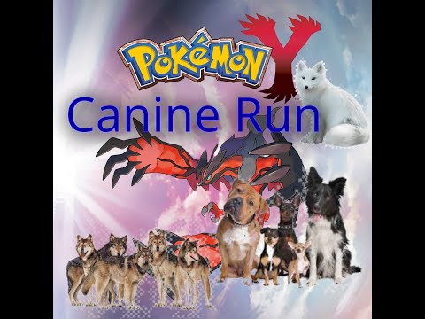 Pokemon Y Canines Only Nuzlocke part 63