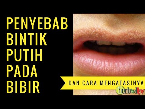 Bagaimana untuk memulai belaian Wanita Meningkatkan ereksi pembesaran penis