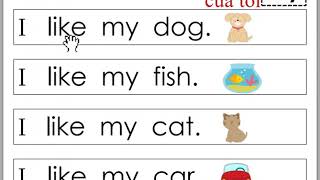 Very first sight word sentences 3 my