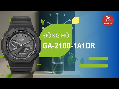 Đồng Hồ GA-2100-1A1DR | G-Shock