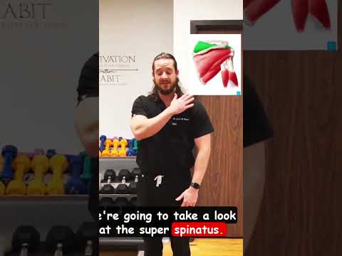 How to Heal a Rotator Cuff Tear: A Step-by-Step Guide