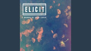 I Wanna Be Your Lover (Radio Edit)