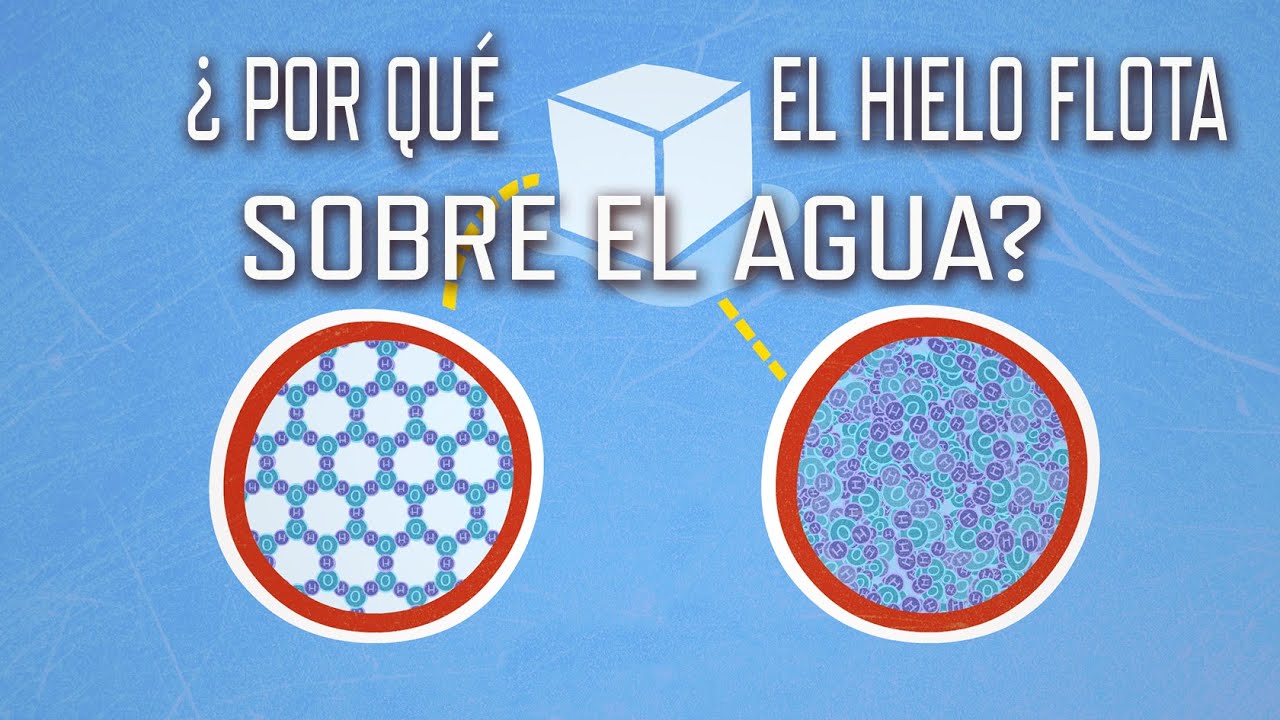 ¿Por qué el hielo flota en el agua? - George Zaidan y Charles Morton