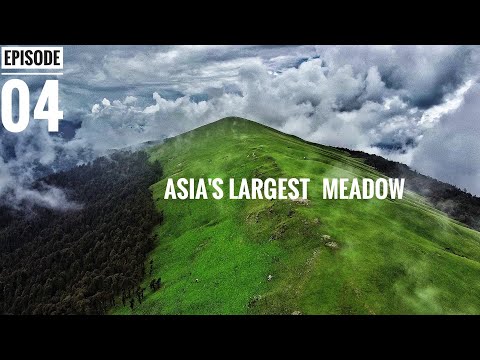 Ali Bedni Bugyal Trek Ep04 || Living on the Top of Ali Bugyal, Uttarakhand