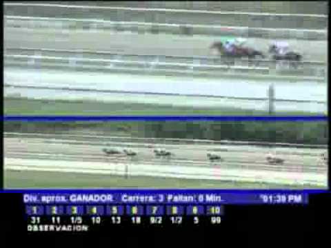 3ERA CARRERA SABADO 03 MARZO LA RINCONADA AUDIOHIPISMO