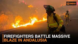 Firefighters battle massive blaze in Andalusia | DD India