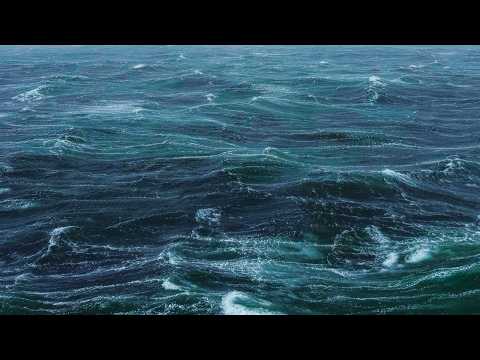 Soon - Shearwater