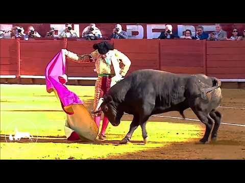Lo que no se vio de la Feria de Olivenza | Tierra de Toros