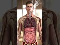 Smoking Effects Inside The Human Body Lung Damage Animation Explained