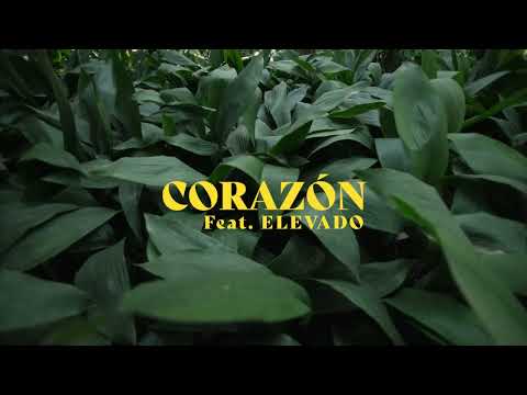 Corazón (con Elevado)