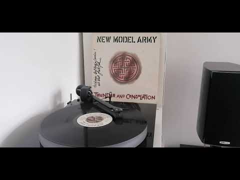 Project x2 New Model Army vinyl crackle Green and Grey