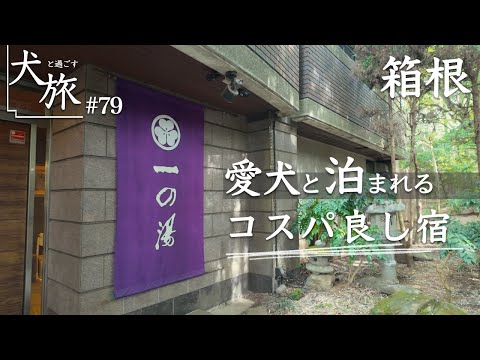 愛犬との旅行、気ままな休日をお過ごしください