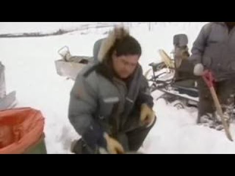Ray Mears' World Of Survival S02E05 - The Barren Lands