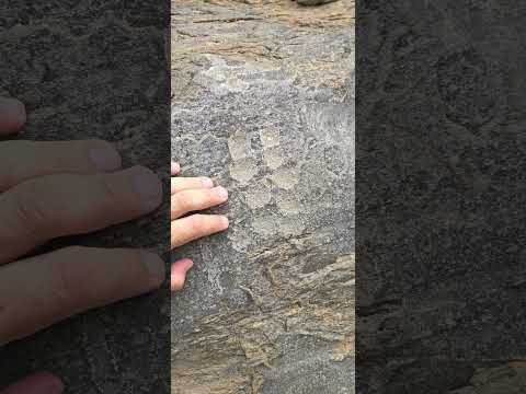 Itacoatiaras na divisa dos municípios de São Vicente do Seridó e Pedra Lavrada, PB. #archeology