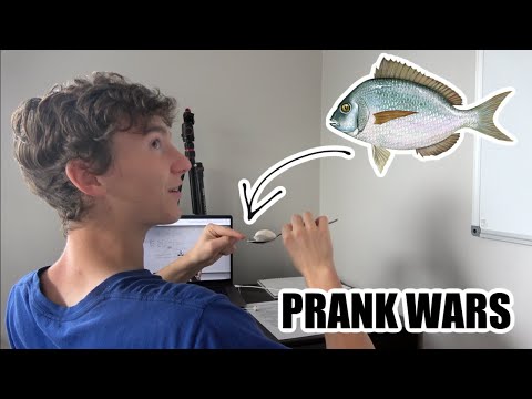 PRANKING MY SIBLINGS *prank wars* | Match Up