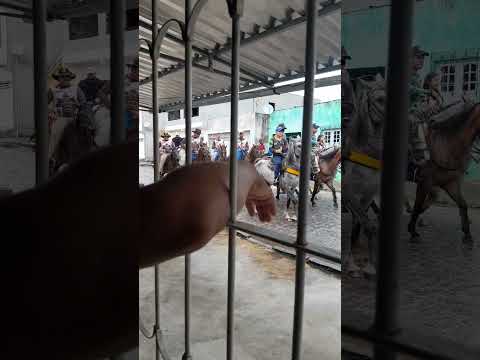 Cavalgada em Ferreiros PE