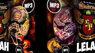 Download lagu Samboyo putro lelah hati ini mp3