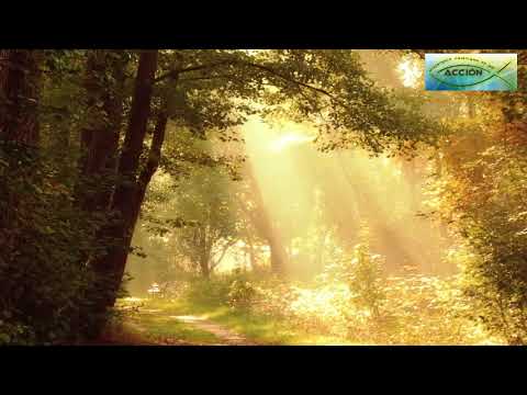 Reflexión 1 Juan 1:7 | ANDAR EN LA LUZ DE DIOS