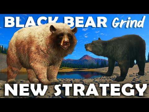 NEW STRATEGY is PERFECT for the BLACK BEAR Grind!!! - Call of the Wild