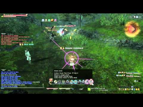 FFXIV - BRD level 45 job quest battle