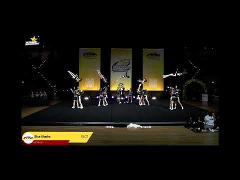 RM BLUE SHARKS ( CHAMPS )