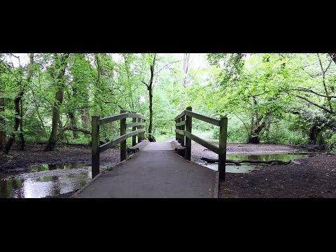 You raise me up - Medeea & Johny Dragos