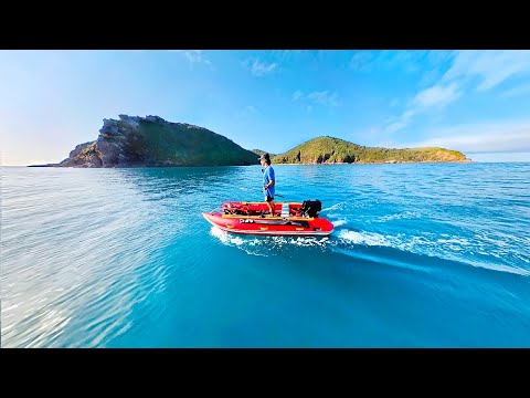 Venomous Fish HURT - ALONE Solo Camping A Remote Island