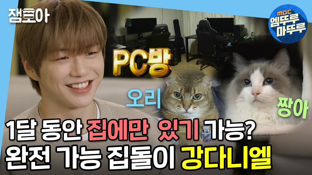 [나 혼자 산다] 고양이부터 PC방까지🖥 다녤이 왜 집돌이인지 알겠다(*ฅ́˘ฅ̀*)  | #강다니엘 #엠뚜루마뚜루 MBC210423 방송