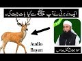 Beautiful Story Of Deer By Maulana Tariq Jameel Latest New Bayan Upload 2018