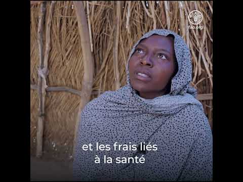 Fournir une assistance agricole et vitale au Tchad: l’histoire de Saadia