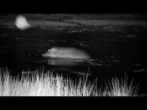 Djuma: Hippos mating - 02:40 - 07/17/2022