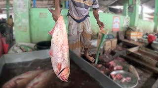 Big Silver Fish Cutting Skills in Fish Market