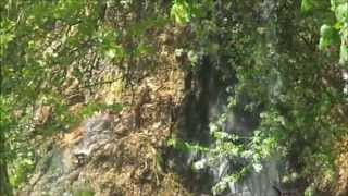 preview picture of video 'Gualdo Tadino cascata sul fiume Feo'