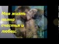 Аффирмации для сексуальности и любви. 