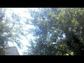 The Hood Titusville