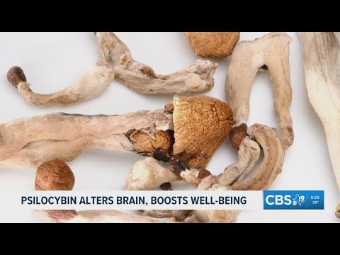Study finds psilocybin may temporarily alter brain structure