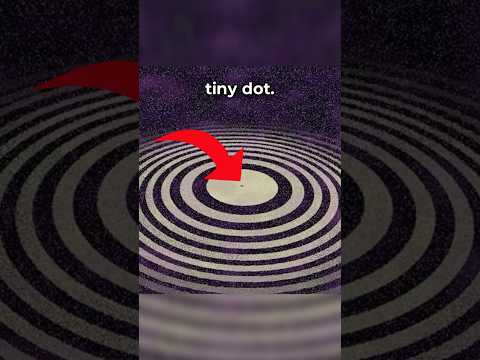 WHAT THE END LOOKS LIKE