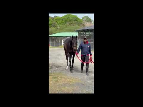 {{itemName}}_video_thumbnail