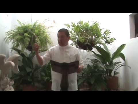 EVANGELIO DIARIO 25 DE AGOSTO 2011 - PARROQUIA LA SAGRADA FAMILIA