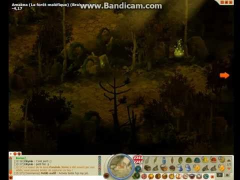 comment entrer dans la foret malefique dofus